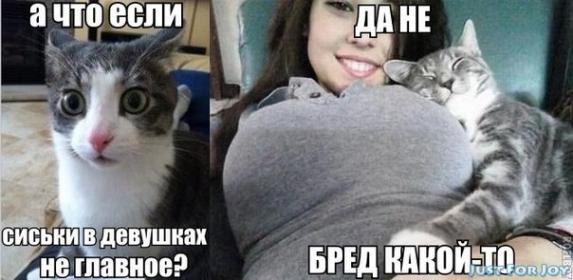 Приколы в стиле "регресс"