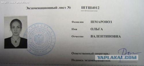 Шмаровоз