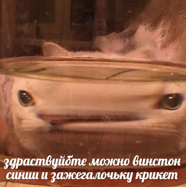 Работу кончай, пост с картинками открывай!