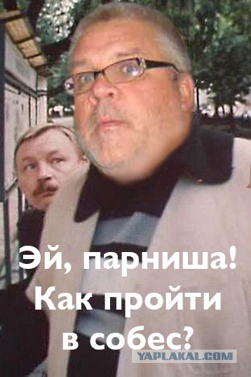 Дров не дали. Как жить бедному крестьянину?