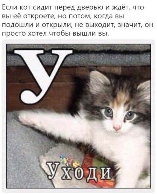 Немного картинок для настроения