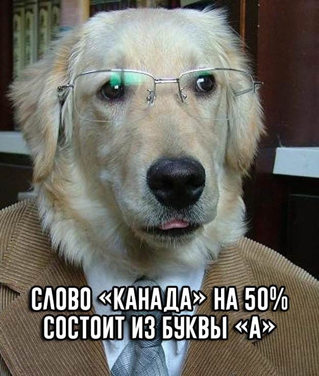 Немного картинок для настроения