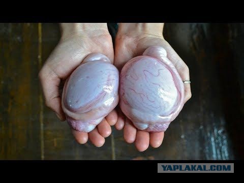 Застукала подругу на измене с мужем