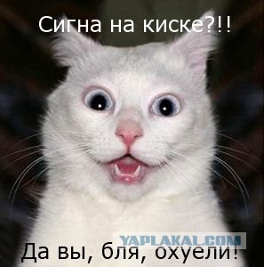 Сигны. Что такое сигны?