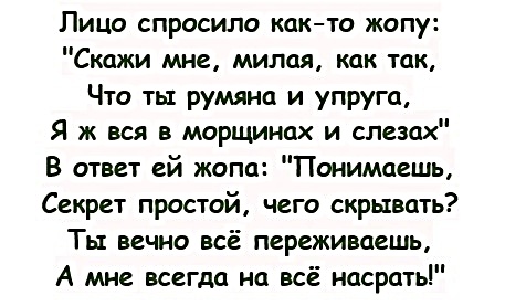 Бредзона 29.01.2020