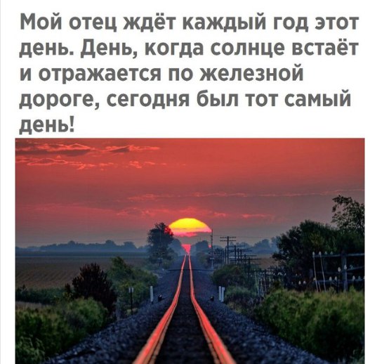 Немного картинок для настроения 12.02.20