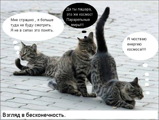 Подпиши фото!