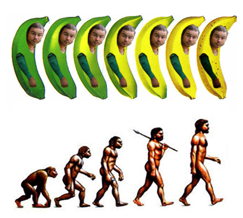 Друзья обезьян