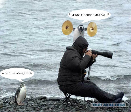 Внимательный фотограф