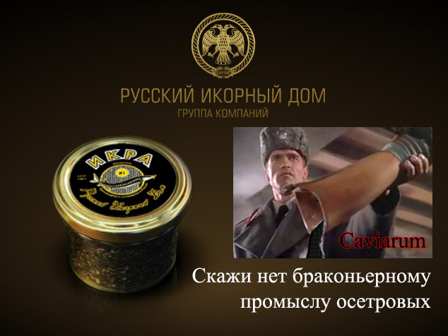 Выиграй 3кг черной икры!