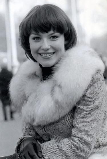 Еще молодые старые "звезды"