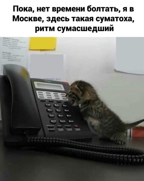 Картинки и мемы для настроения 017