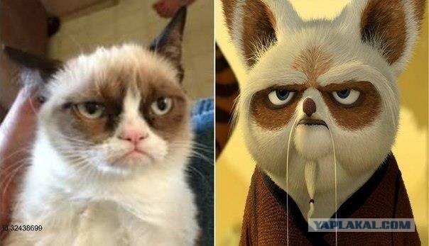 Грустный обиженный котёнок