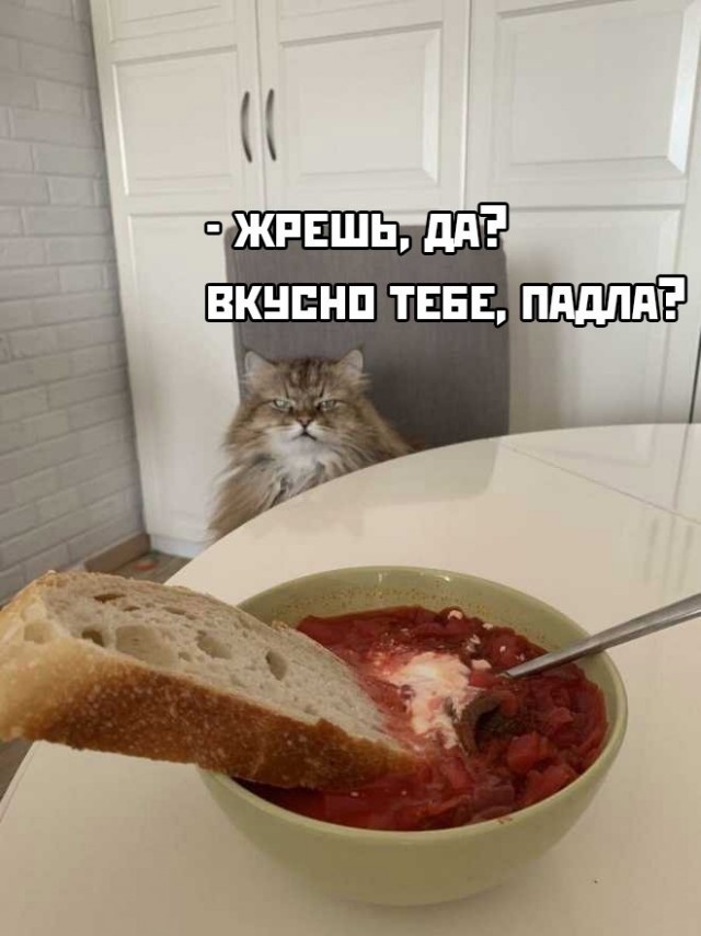 Мужчина всегда должен оставаться мужчиной!