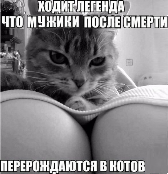 Пятница. И немного слегка пошлых картинок с надписями и без 16+ (20.08))