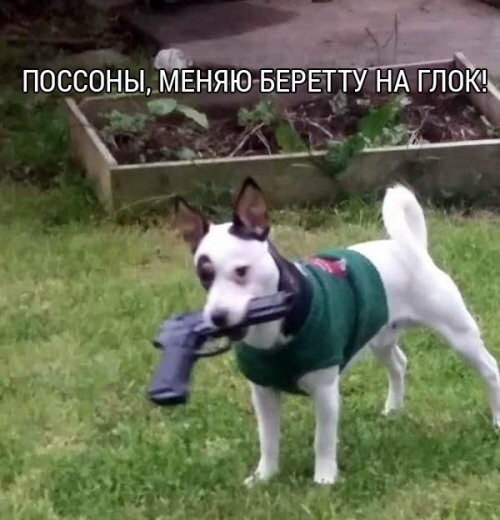 Баянисто-небаянистый юмор 04.09.21