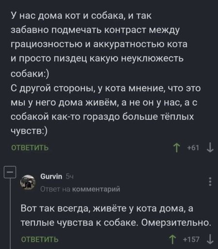 Весёлый полтишок 09.11