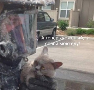 Пожарные и спасенные животинки