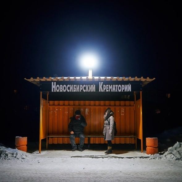 Всяческие картинки 31.01.2022