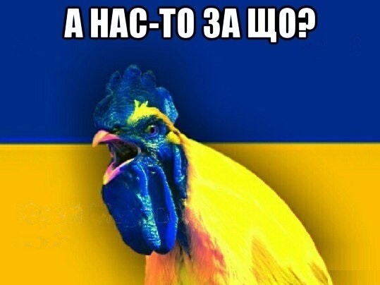 В результате ЧП в Белгороде погибли три человека