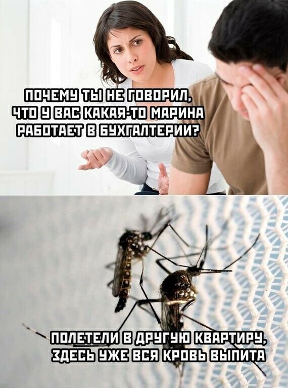 Картинки и мемы для настроения - 19