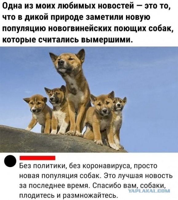 Скриншоты и комментарии из социальных сетей 30.07.22