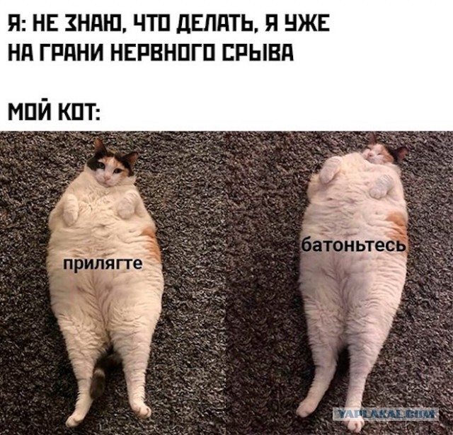 Баянисто-небаянистый юмор 2.10.22