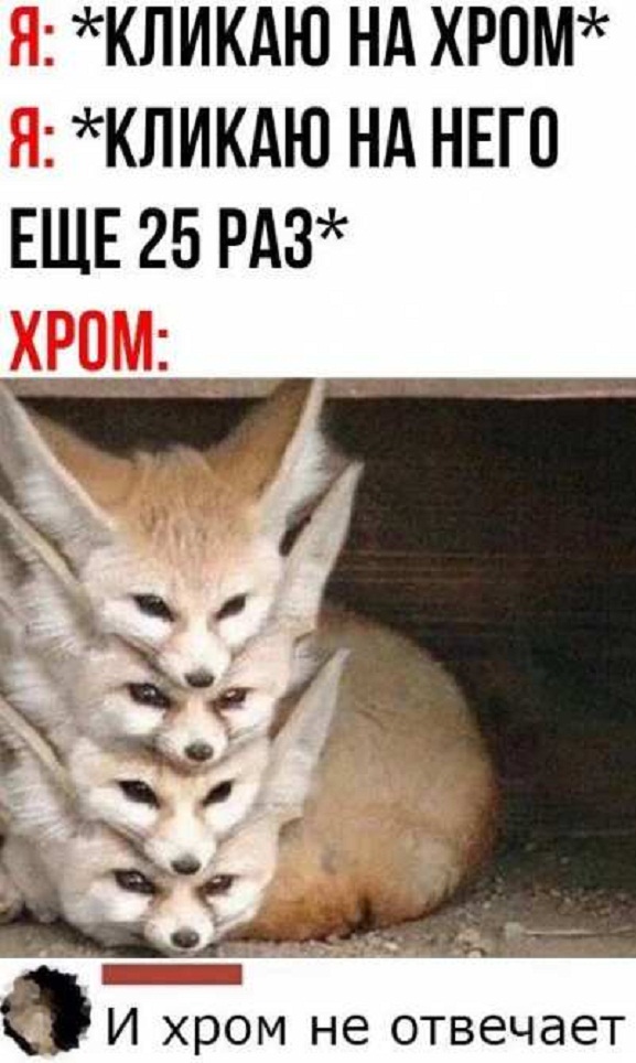 Картинки и мемы. Выходные близко...