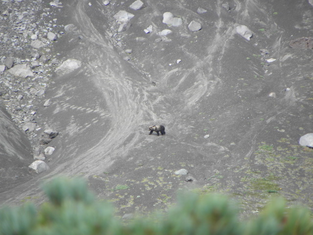 Петропавловск-Камчатский и его окрестности...