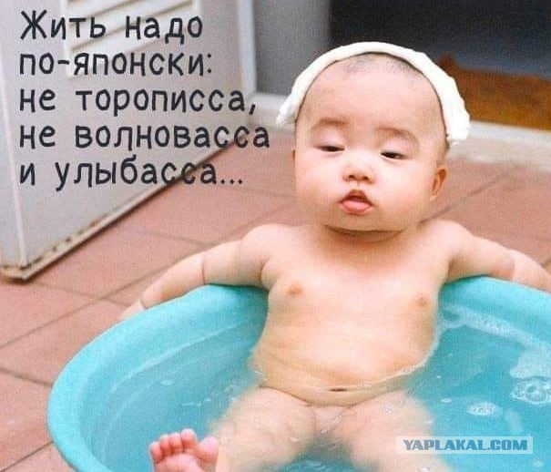 Как государство предложило продавать гражданам украденное