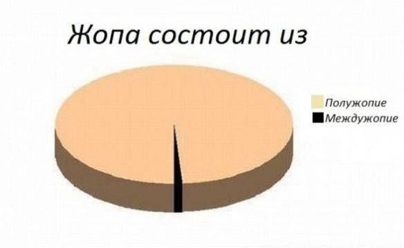 From дурдом (баяны)