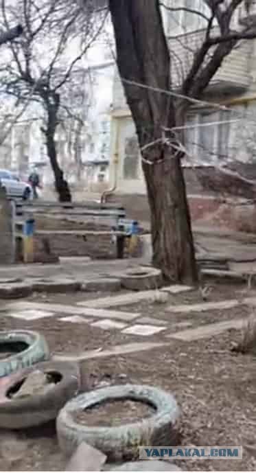 Опасный сосед