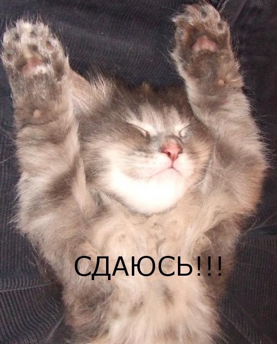 Правильное мнение: Отличие баб от женщин
