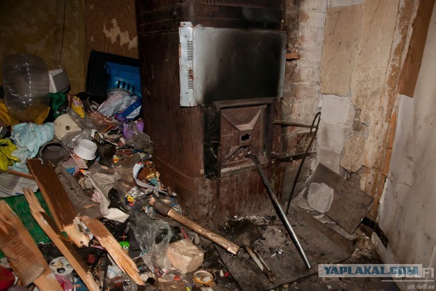 Все, что вы хотели знать об Эстонии...