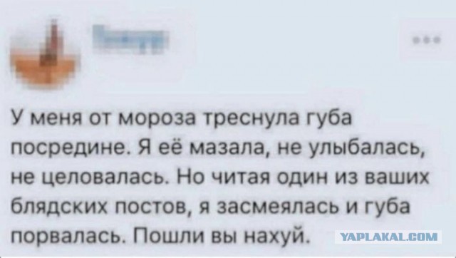 Отвал башки в конце января