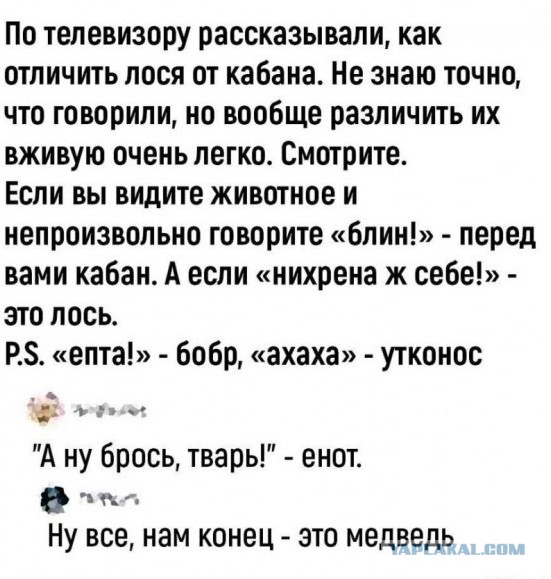Так себе картинки 18.04.24
