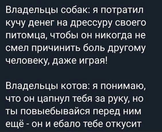 Так себе картинки 05.06.24