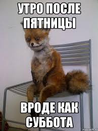 Спасибо что ЯП есть!