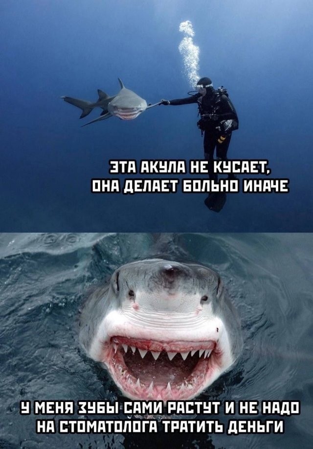 Завалялось тут случайно немного забавных картинок