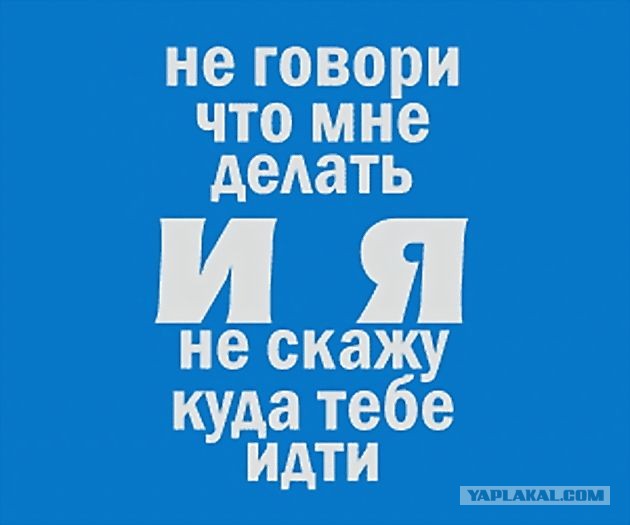 Веселые картинки к пятнице (27.09)
