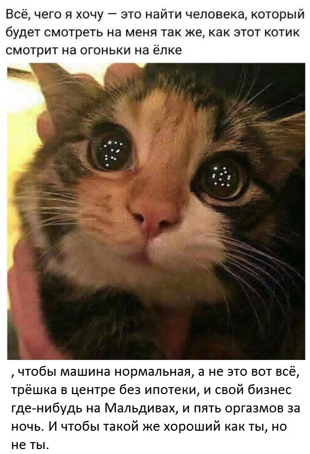 Так себе картинки 29.10.24