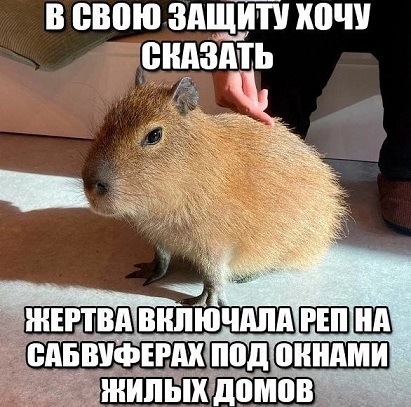 Расскажи мне про море