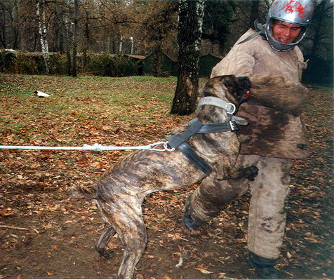 Фотаемся на объявление