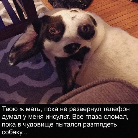 Сегодня четверг