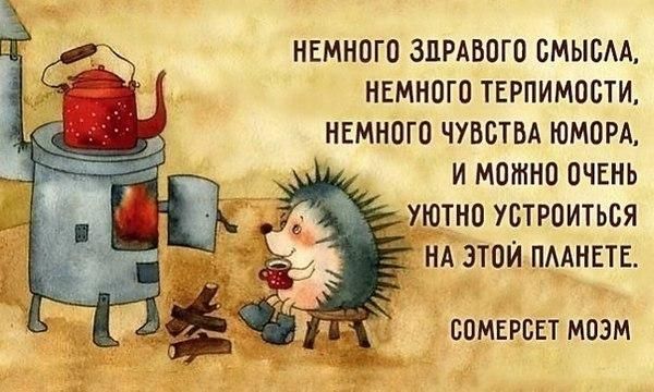 Прикольные и просто красивые картинки 06.05.2025
