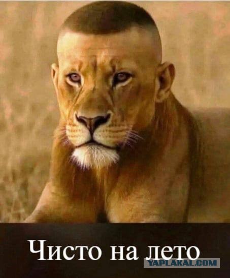 Интернет-мемчики на вторник и рабочее место