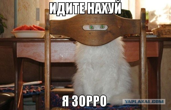 Очки с мозгами