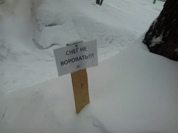 Так себе картинки 24.12.25