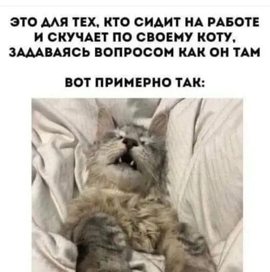 Маленькая пятница 18.02