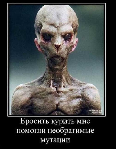 Табак лучше сигарет